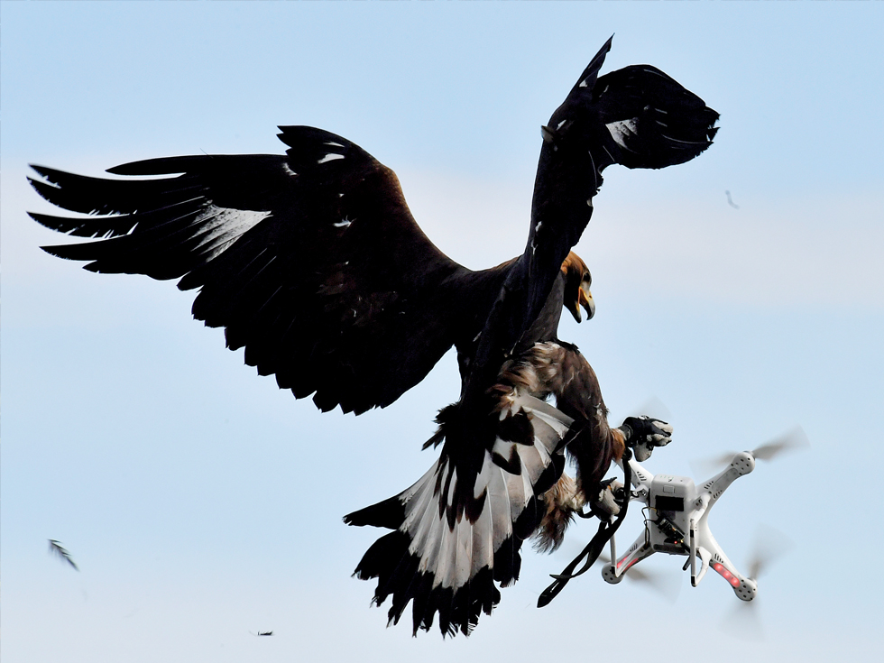 vultur_drona_AFP getty_newmoney